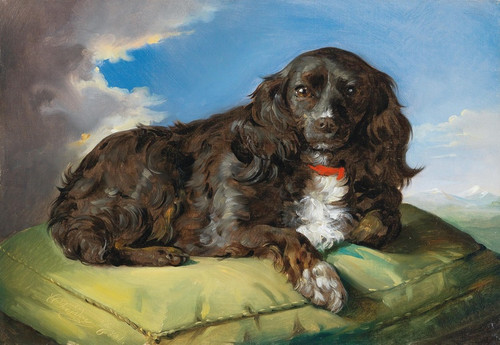 Digital Print - Cocker Spaniel auf grnem Polster liegend by Theodor Petter