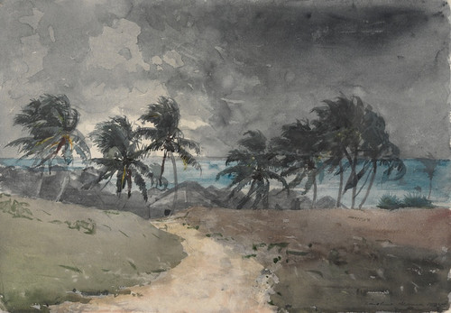 Digital Print - Storm,Bahamas by Winslow Homer Digital Print - Storm,Bahamas by Winslow Homer