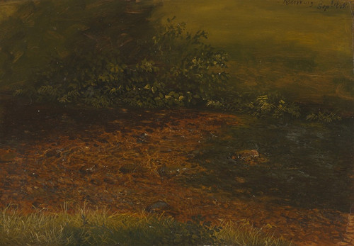 Digital Print - Woodland stream in the Catskills by Frederic Edwin Church