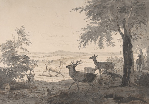 Digital Print - View of Dyrehaven by Johan Thomas Lundbye