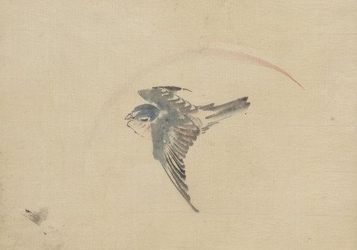 Digital Print - A bird flying to the left, seen from above by Katsushika Hokusai