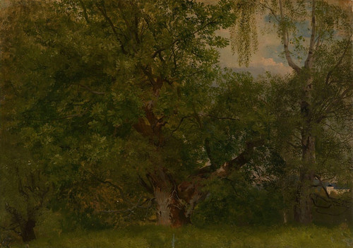 Digital Print - Wood near Ulefoss by August Cappelen