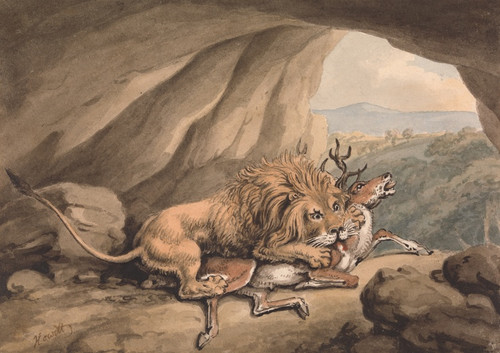 Digital Print - Lion Attacking a Stag by Samuel Howitt