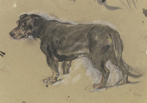 Digital Print - Dachshund to the left by Anton Burger