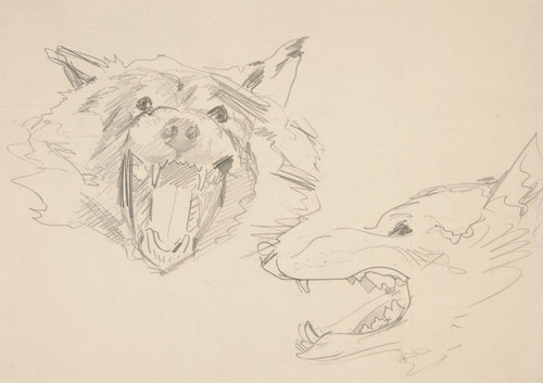 Digital Print - Two Views of a WolfsHead by John Singer Sargent Digital Print - Two Views of a WolfsHead by John Singer Sargent