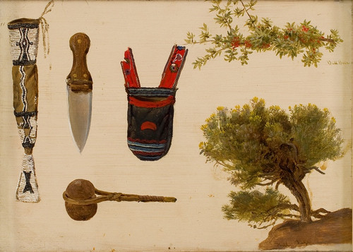 Digital Print - Studies of Beaded Scabbard and Knife, Decorated Pouch, Stone Axe, Branch of Bull Berry, and Hill Sage by Charles Ferdinand Wimar