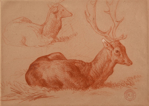 Digital Print - Cerf couch et tude de cerf by Jacques-Raymond Brascassat