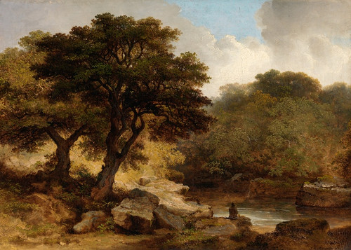 Digital Print - A View of the Glen of the Dargle by James Arthur O'Connor