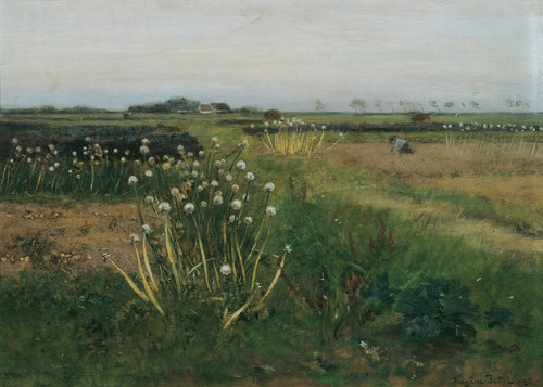 Digital Print - Blhendes Zwiebelfeld by Eugen Jettel