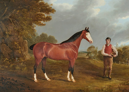 Digital Print - The racehorse 'Whiteface' with groom J. Gilham by John Frederick Herring Snr.
