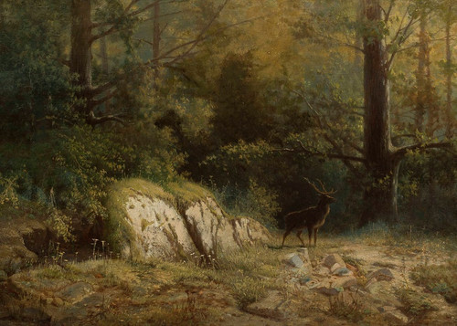 Digital Print - Forest landscape with a deer by Feliks Brzozowski