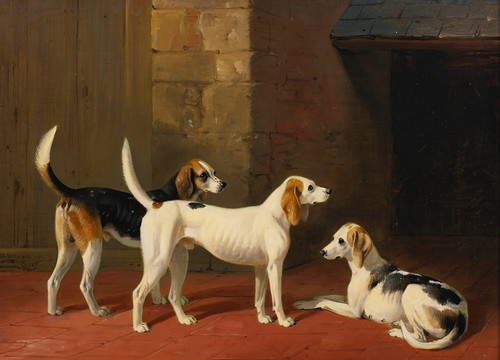 Digital Print - Three Fox Hounds In A Paved Kennel Yard by William Barraud