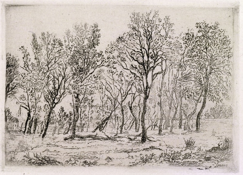 Digital Print - Group of Trees by James Ensor