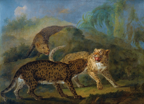 Digital Print - Trois Leopards by Jacques-Charles Oudry