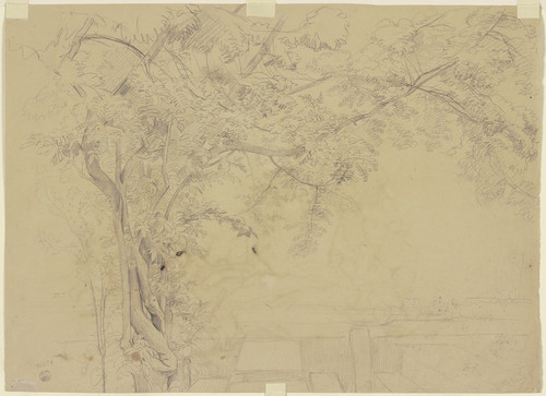 Digital Print - Tree by Jakob Becker