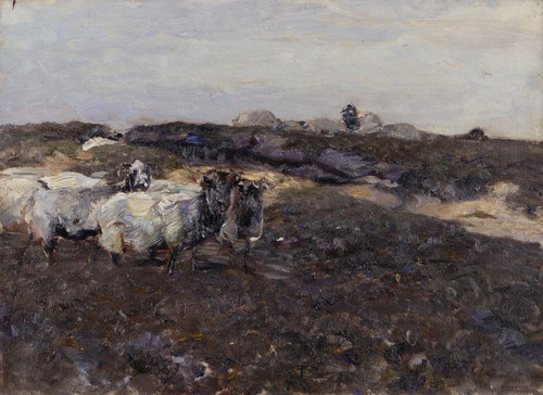 Digital Print - Sheeps in Moorland by Heinrich Von Zgel