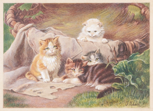 Digital Print - Spielende Katzen by Julius Adam the elder