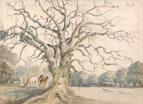 Digital Print - View of a Park with Deer by William Byron