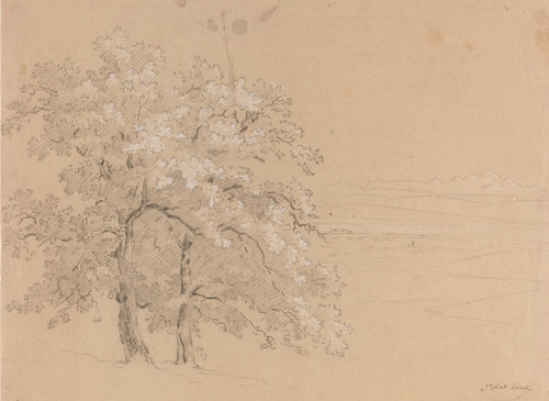 Digital Print - Sunlit Trees Before a Panoramic Landscape by Jean-Antoine Linck
