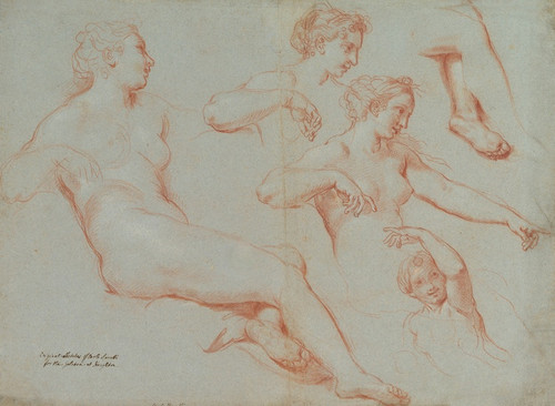 Digital Print - Four Studies of Recumbent Female Nudes (Galatea) by Carlo Maratti