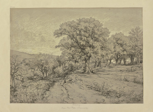 Digital Print - Kastanien auf einer Hhe bei Kronberg by Peter Burnitz