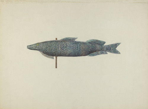 Digital Print - Fish Weather Vane by Sadie Berman