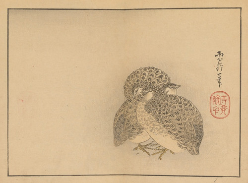 Digital Print - Sakai Hoitsu gajo, Pl.20 by Sakai Hoitsu