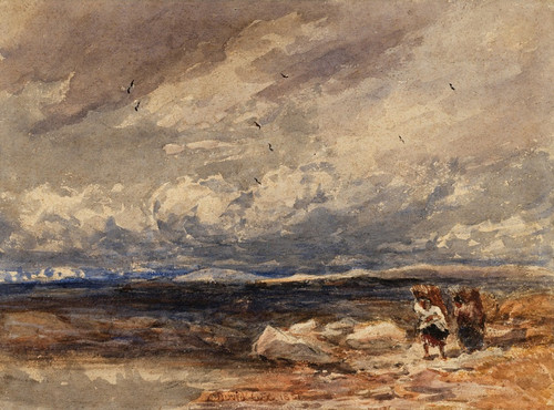 Digital Print - On Carrington Moss by David Cox