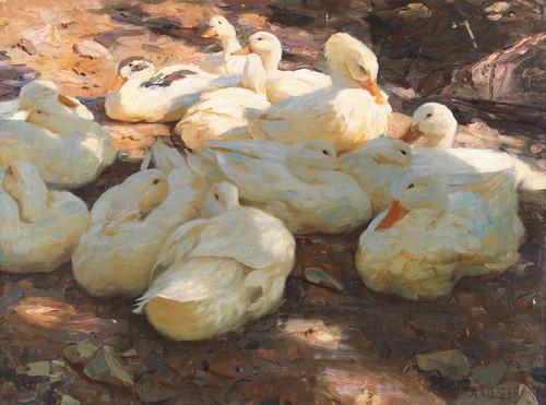 Digital Print - Liegende Enten - Licht und Schatten by Alexander Koester
