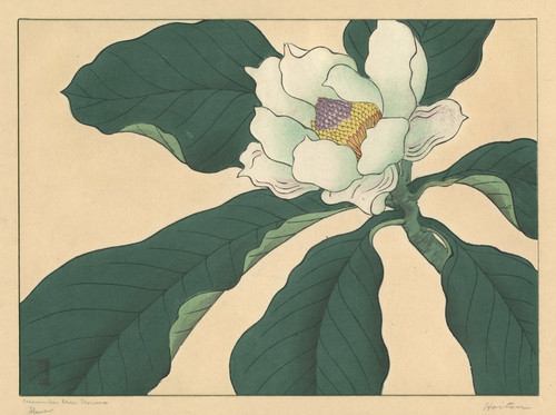 Digital Print - Cucumber tree flowers by Sakai Hoitsu