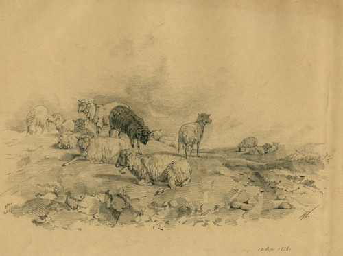 Digital Print - Sheep on the heath by Floris Verster
