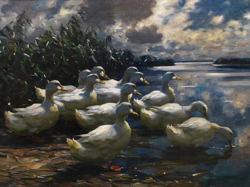 Digital Print - 11 Enten in der Morgensonne by Alexander Koester