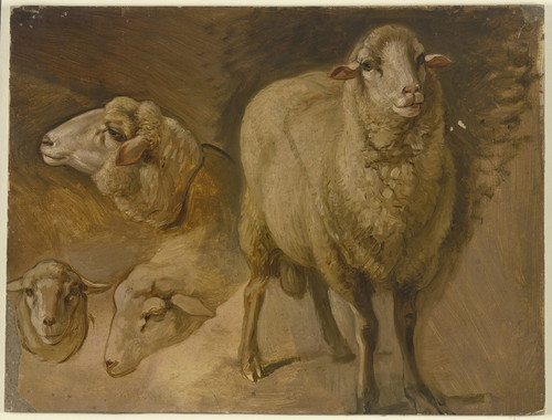 Digital Print - Sheep by Jakob Becker