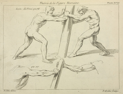Digital Print - Studies of two figures pushing against a pillar by Peter Paul Rubens