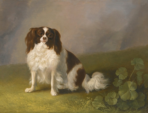 Digital Print - Portrait Of A King Charles Spaniel In A Landscape by Jakob Philipp Hackert