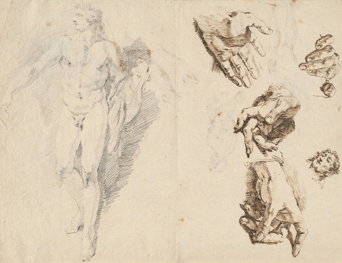 Digital Print - Apollo and Studies of the Artist's Own Hand (recto) by Francesco Fontebasso