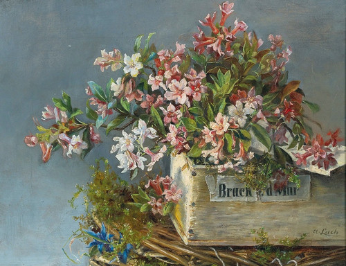 Digital Print - Alpine Roses In A Window Box by Andreas Lach