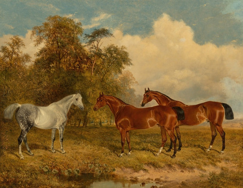 Digital Print - Two bay horses and a dappled grey in a field with trees on the left by James Walsham Baldock