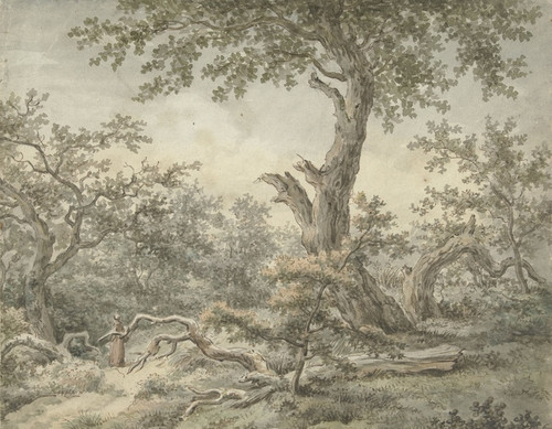 Digital Print - Boslandschap by Cornelis Buys