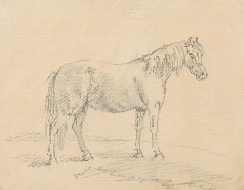 Digital Print - Standing Horse by Sawrey Gilpin