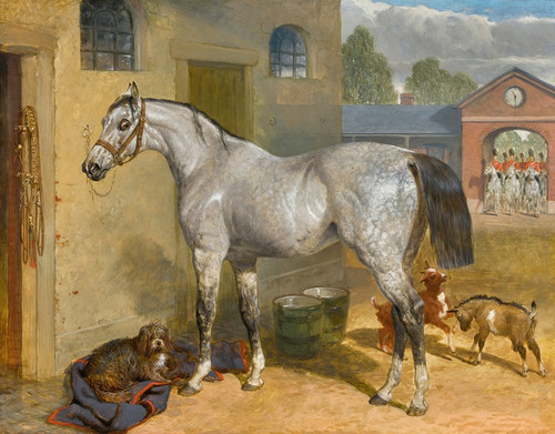 Digital Print - One Of The Scots Greys In A Yard With Dog And Goats by John Frederick Herring Snr.