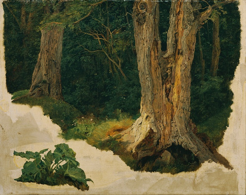 Digital Print - Baumstudie by Ferdinand Georg Waldmller