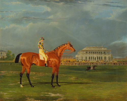 Digital Print - Memnon, with William Scott Up by John Frederick Herring Snr.