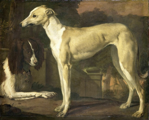 Digital Print - Portrait of a Greyhound and Spaniel by Jan Weenix