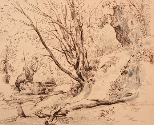 Digital Print - Ruisseau et bois  Civita Castellana by Jacques-Raymond Brascassat