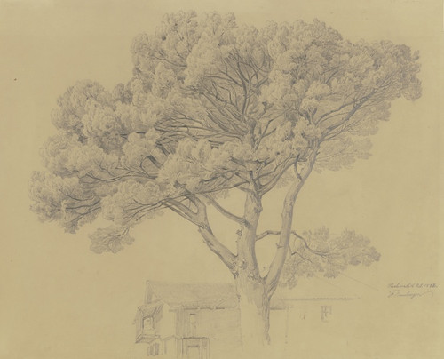 Digital Print - Baum bei einem Haus in Peschiera del Garda by Fritz Bamberger