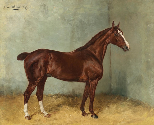Digital Print - A Bay Horse with White Blaze in a Stable by Julius von Blaas