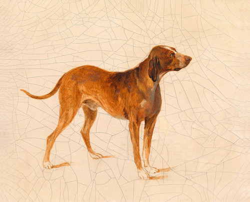 Digital Print - Jagdhund by Adalbert Stifter Digital Print - Jagdhund by Adalbert Stifter