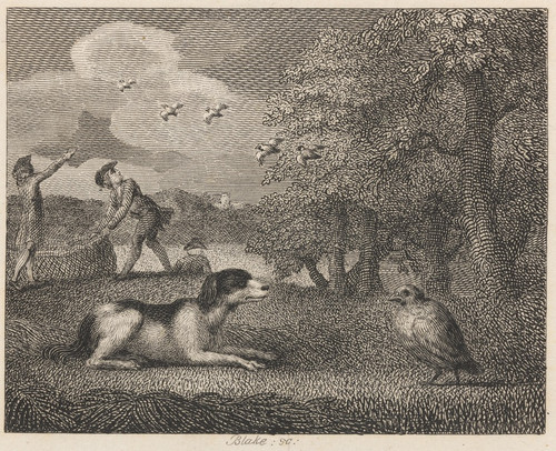 Digital Print - Fable XXX. The Setting-dog and the Partridge by John Wootton Digital Print - Fable XXX. The Setting-dog and the Partridge by John Wootton