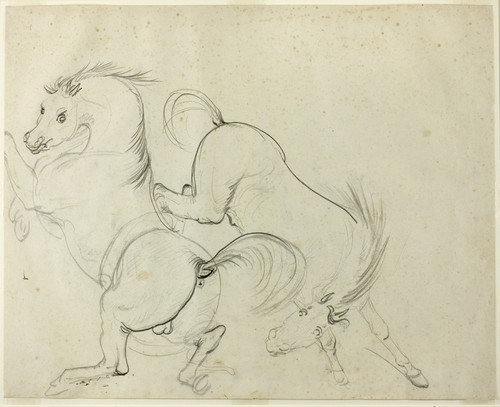 Digital Print - Two Horses Cavorting by Carle Vernet